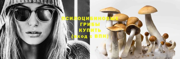 молекула духа Абдулино