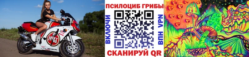 Псилоцибиновые грибы Psilocybe блэк спрут ссылка Североморск цены