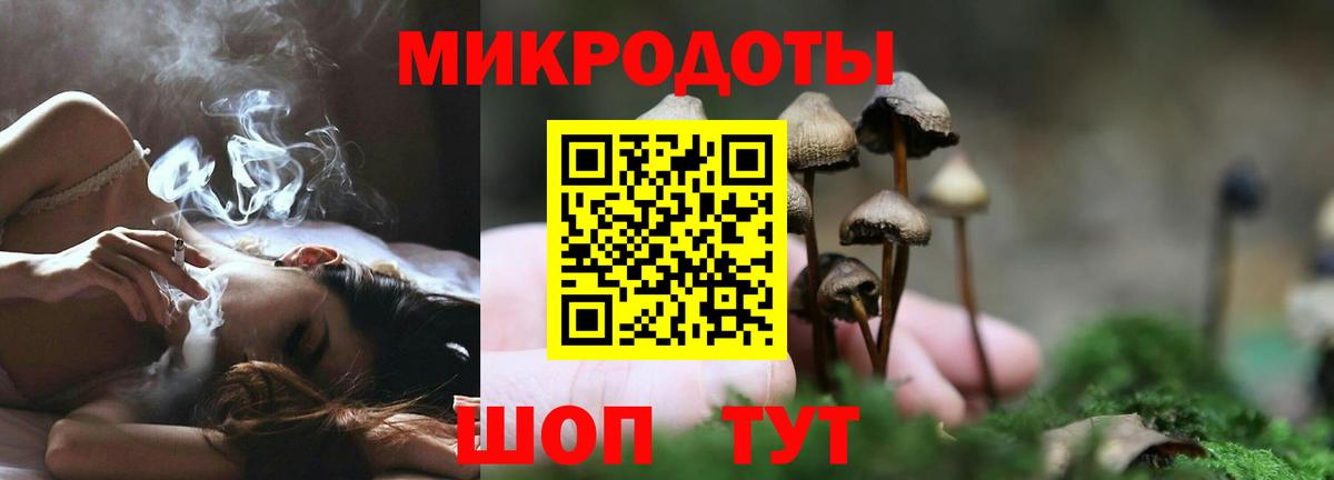 Галлюциногенные грибы GOLDEN TEACHER  Галлюциногенные грибы Magic Shrooms  Североморск  Вход с VPN 